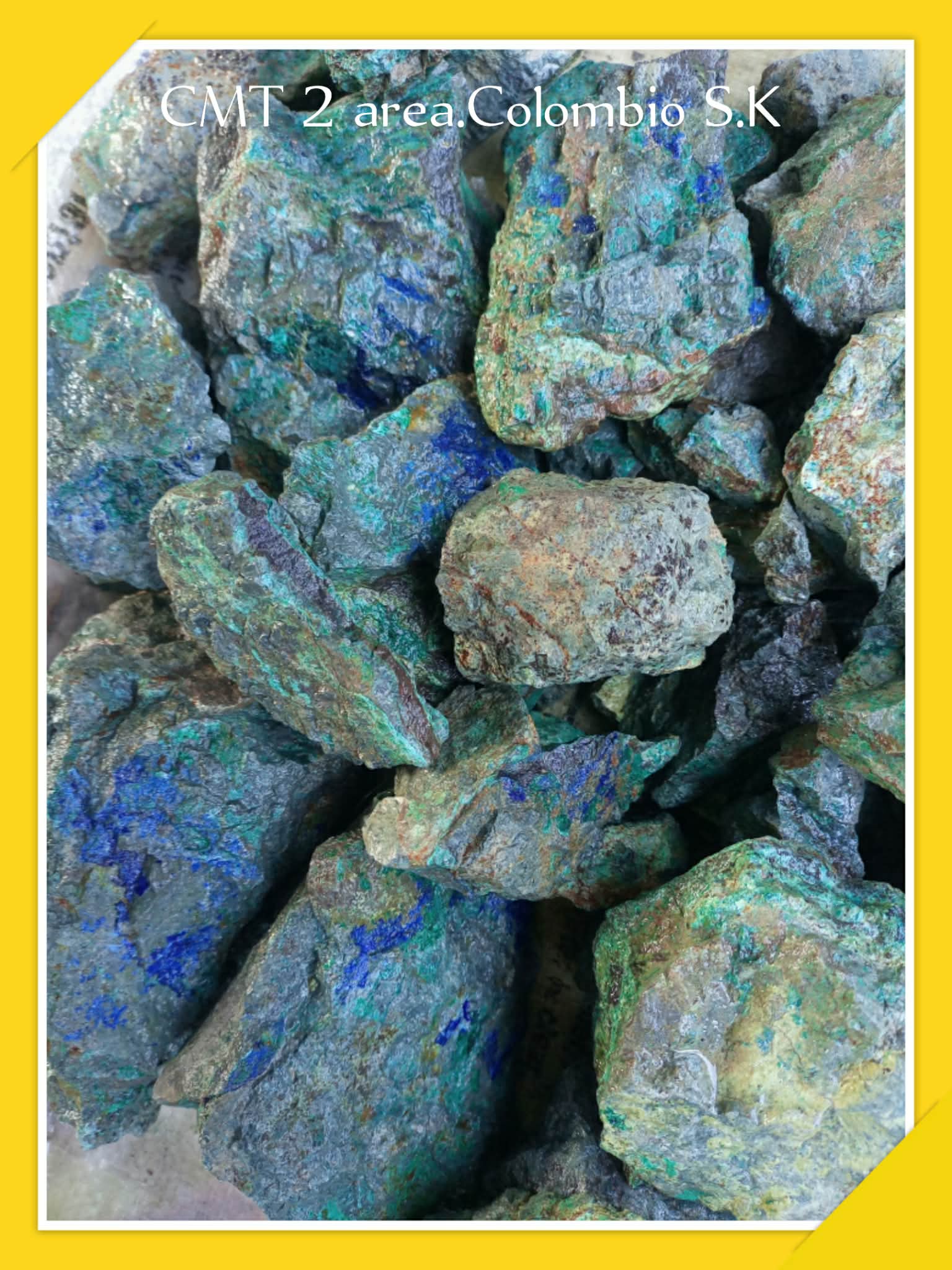 A group of blue-green mineral samples labeled for Camotto review