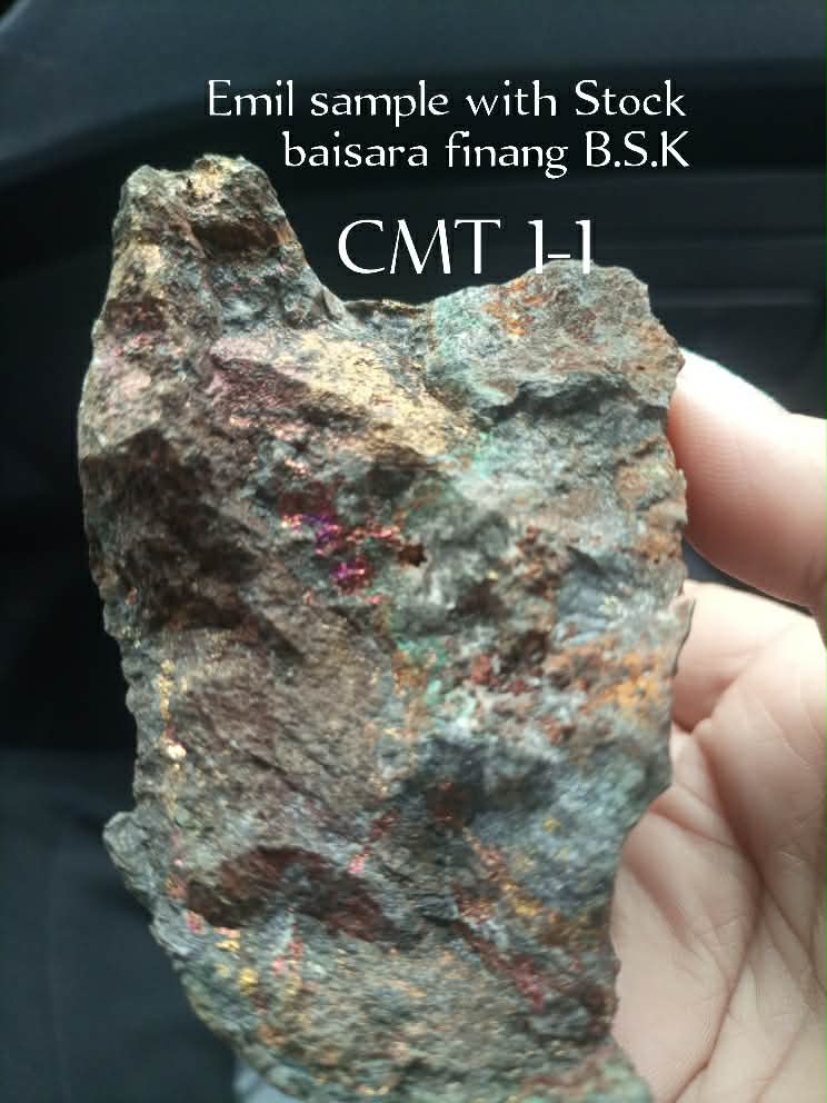 A mineral-bearing hand sample photographed for preliminary review